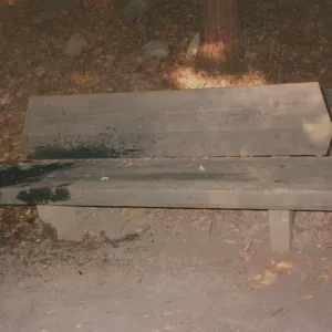 Hetty Van Schaick Bench, 1970, Redwood Section