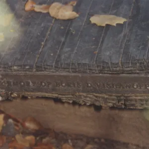 Boris D. Vishanoff Bench, 1980