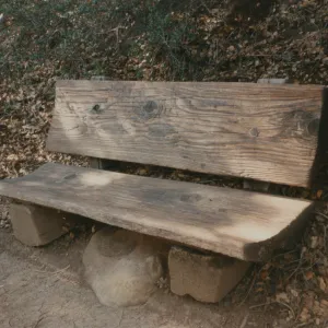 Boris D. Vishanoff Bench, 1980