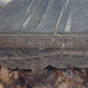 Joyce W. Webb Bench, 1979 (removed)