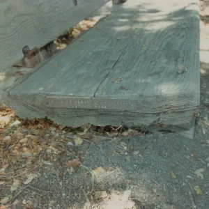 Joyce W. Webb Bench, 1979 (removed)