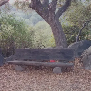 Joyce W. Webb Bench, 1979, new location behind kiosk (removed)