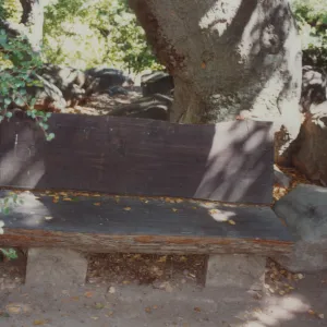 Ben Weininger Bench, 1988, Manzanita Section