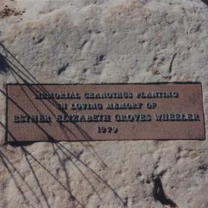 Esther Elizabeth Groves Wheeler Plaque, 1979, Porter Trail