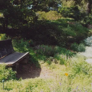 Esther Elizabeth Groves Wheeler Bench, 1981, Porter Trail