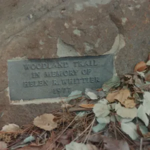 Helen R. Whittier Plaque, 1977, Woodland Trail