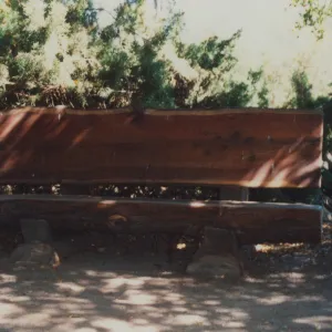 Dick Williams Bench, 1992, Meadow