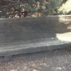 Wood bench between Kiosk and Desert Section (replaced by Williams Bench)