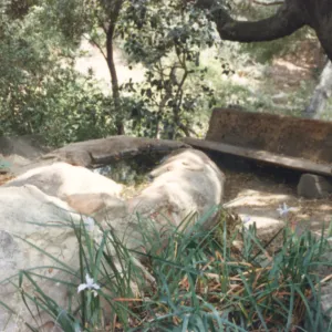 old wood bench in Manzanita Section (replaced by Weininger Bench)