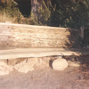 old wood bench at east side of Meadow by Weindling Birdbath (replaced by Wood Bench and Beaver Bench)