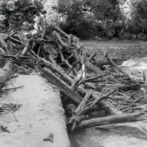 Logs deposited on Mission Dam by storm waters