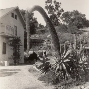 Photos from Ethel George Lyons of George house and family