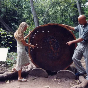 Visitors in Garden, engagement photo outtakes. Redwood round