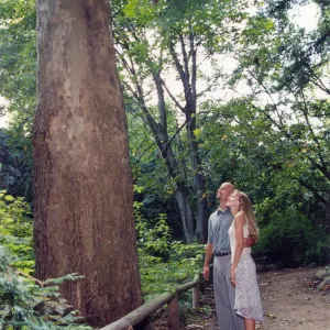 Visitors in Garden, engagement photo outtakes