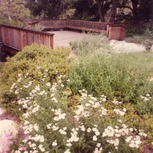 Home Demonstration Garden