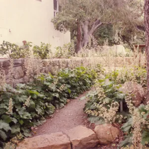 Home Demonstration Garden