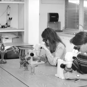 2014 AAM Accreditation Self-Study Documentation: Arroyo Room (the Garden's classroom)