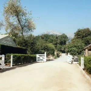 Courtyard and Garden Growers Nursery in late 1990s to early 2000s