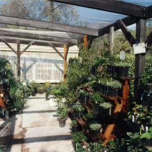 Garden Growers Nursery in late 1990s to early 2000s