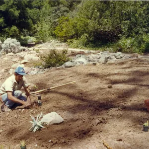 Planting of the Dudleya display, Manuel Gonzalez
