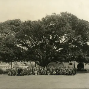Group portrait at Moreton Bay Fig Tree