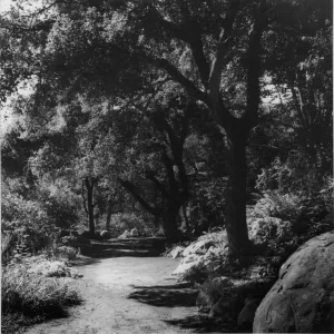 Arroyo Section