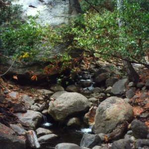 Christmas card photo, to Bob from Jean Haywood