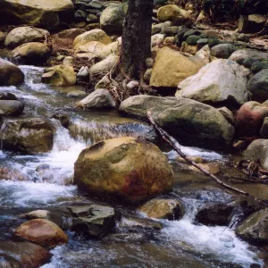 Mission Creek's Rocky Streambed
