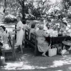 American Herb Society picnic lunch