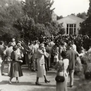 American Museums Association Meeting