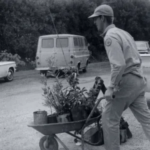 Plant Sale