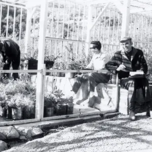 Plant Sale