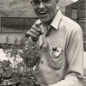 Dara Emery, Spring, 1983