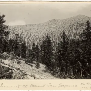 Black and white photograph of mountain top with trees in foreground. 