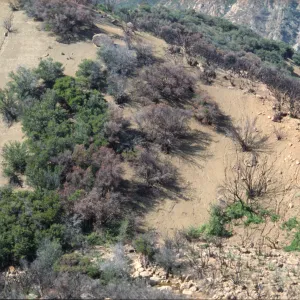 Wolf Burn 2002