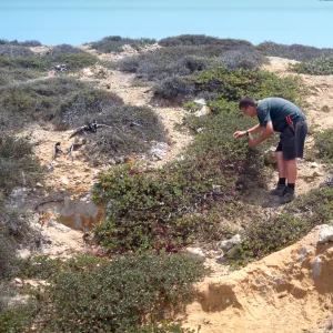 Andrew collecting seed