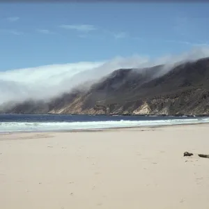 beach at Point Sal, fog