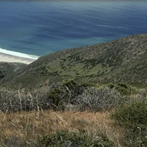Point Sal