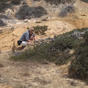 Michael, Point Sal