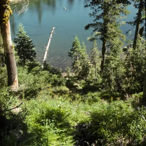 Kangaroo Lake from top of stream