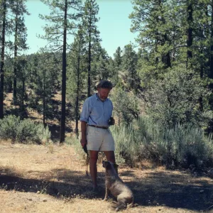 Lockwood Valley, Pine Springs Campground