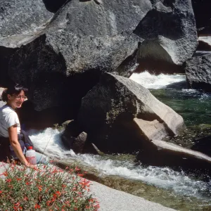 Zauschneria, Epilobium and Carol Bornstein