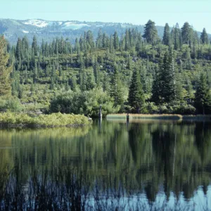 Manzanita Lake, Lassen