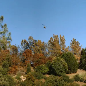 Helicopter seeding near Botanic Garden after Coyote Fire