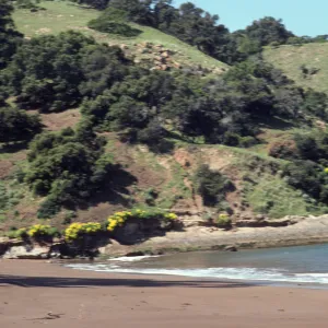 Santa Cruz Island