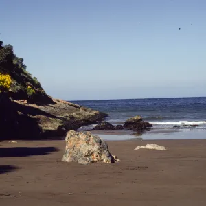 Santa Cruz Island