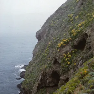 Anacapa Island