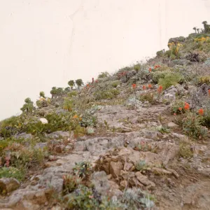 Anacapa Island
