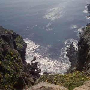A downward view of a cliff over a small, rocky, U-shaped cove, The tops and walls of the cliff are dotted with yellow flowers and bright green moss.