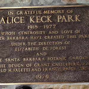 A brass-colored plaque that reads "In greateful memory of Alice Keck Park. 1918-1977, whose generosity and love of Santa Barbara have created this park under the direction of Elizabeth Forest and the Santa Barbara Botanic Garden and the design of Grant Castleburg A.S.L.A. Reginald M. Faletti and Francis Price, trustees, 1979."